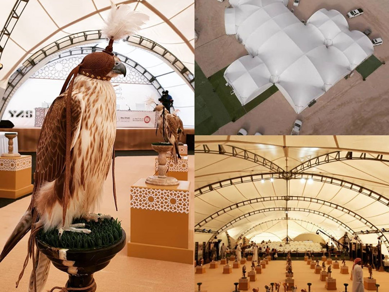 President Cup at Abu-Dhabi Falconers Club