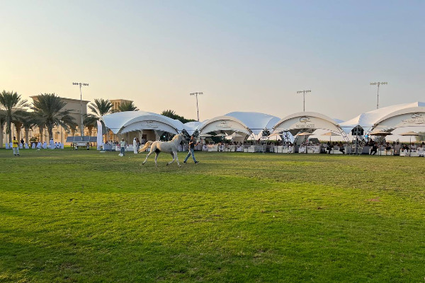 Dubai Arabian Horse Stud project view 3